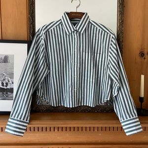 Banana Republic crop button down oversized shirt